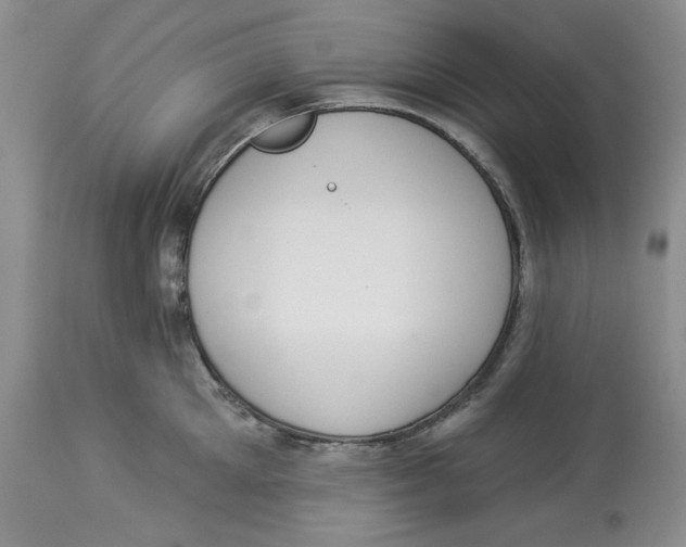 X0000114000905200910231749