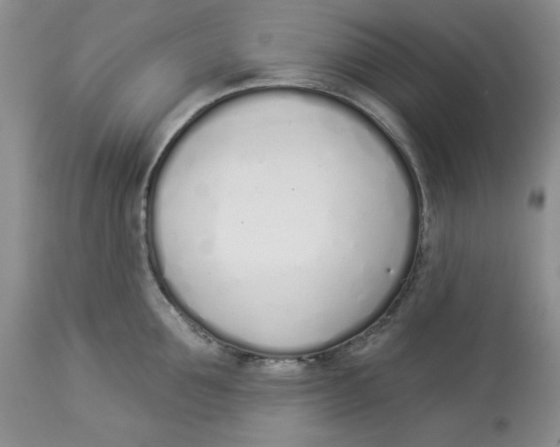 X0000114000907200910231749