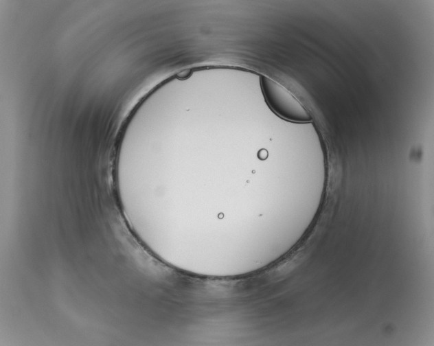 X0000114000908200910231749