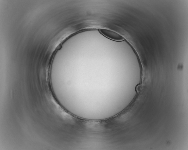 X0000114000909200910231749