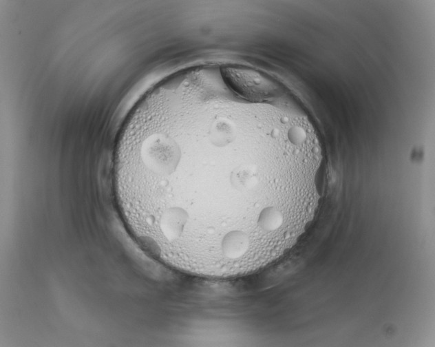 X0000114000911200910231749