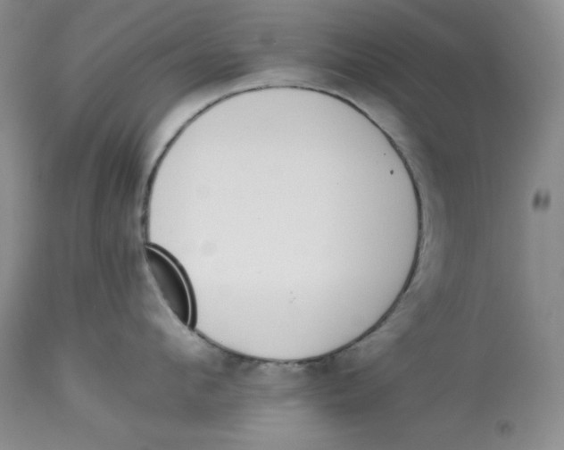 X0000114000912200910231749