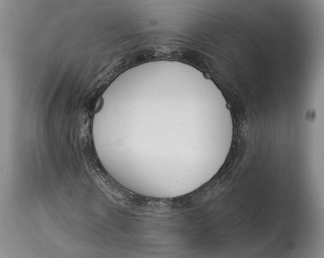 X0000114000914200910231748