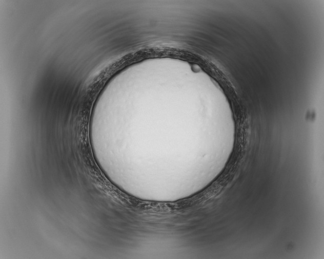 X0000114000919200910231748