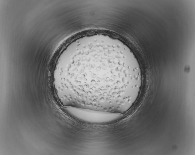 X0000114000926200910231748
