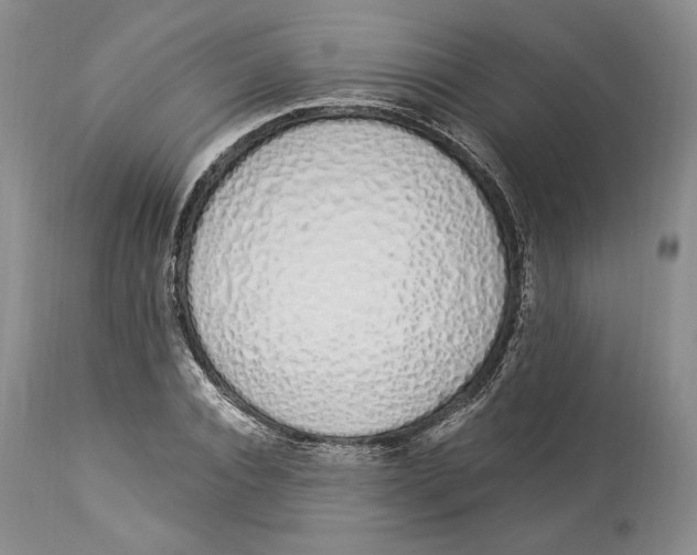 X0000114000928200910231748