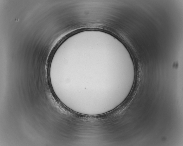 X0000114000932200910231748