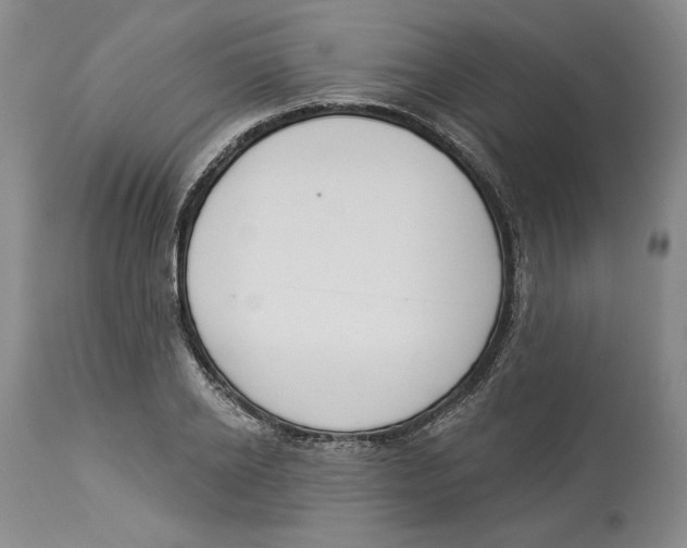 X0000114000934200910231748