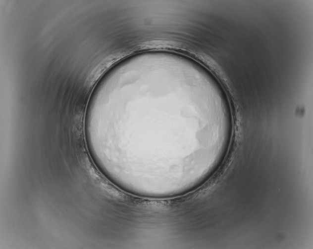 X0000114000937200910231749