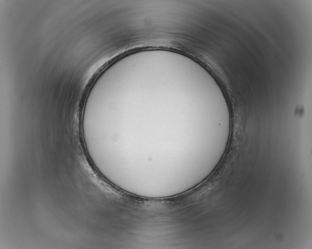 X0000114000944200910231749