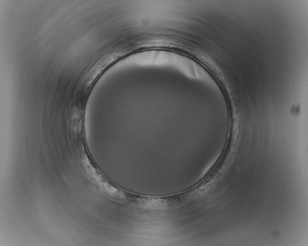 X0000114000945200910231749