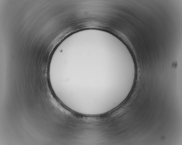 X0000114000946200910231749