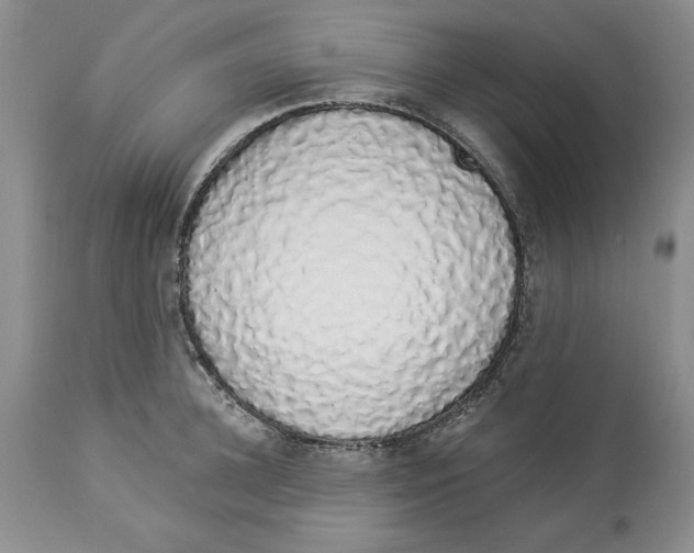 X0000114000948200910231749