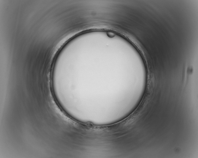 X0000114000951200910231749