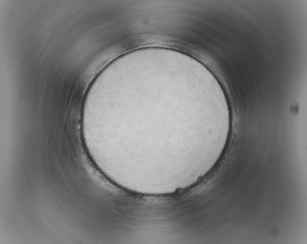 X0000114000954200910231749