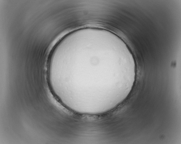 X0000114000955200910231749