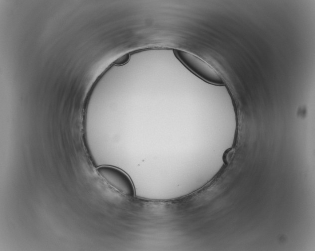 X0000114000956200910231749