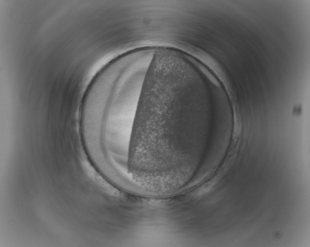X0000114000958200910231749