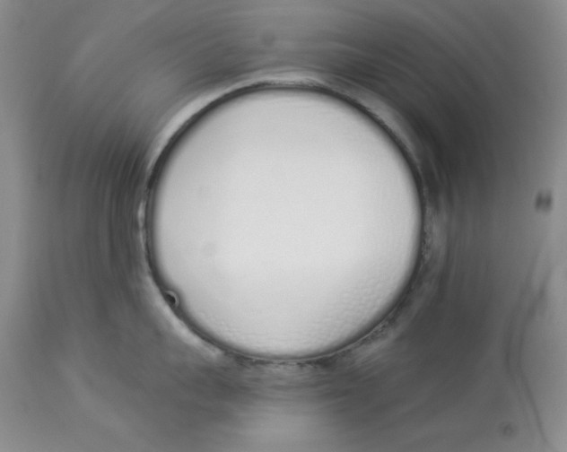 X0000114000959200910231749