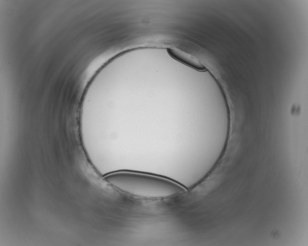 X0000114000960200910231749