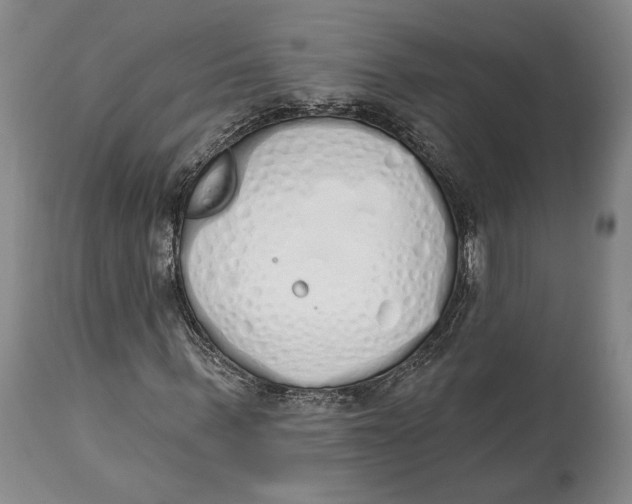 X0000114000963200910231748