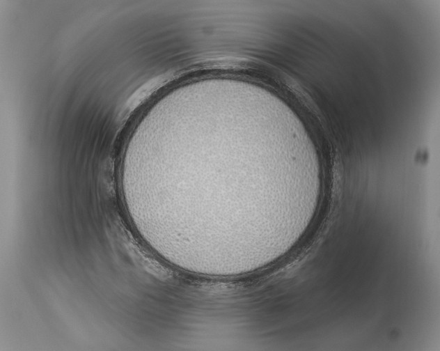 X0000114000970200910231748