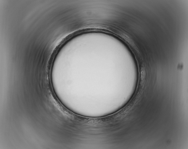 X0000114000972200910231748