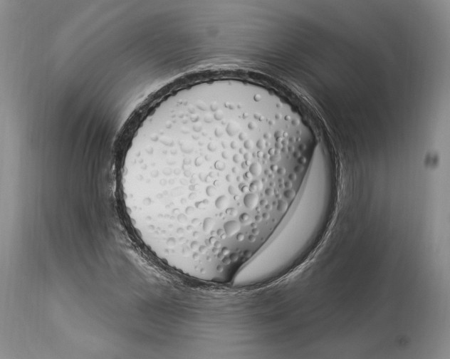 X0000114000973200910231748