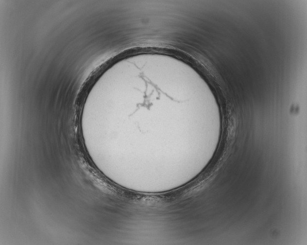 X0000114000974200910231748