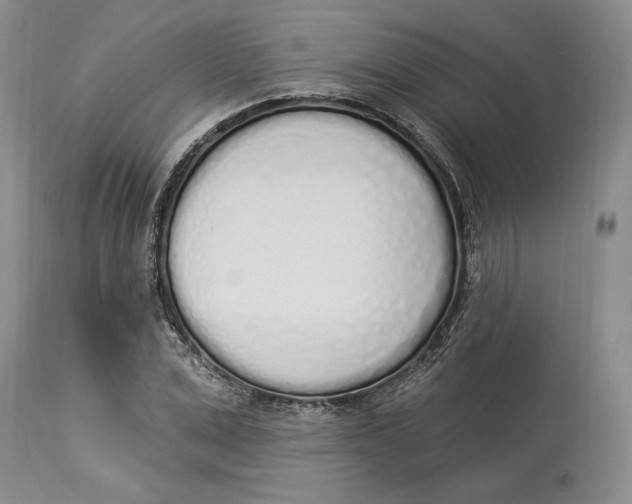 X0000114000975200910231748