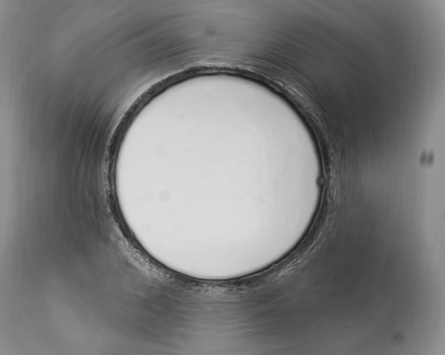 X0000114000976200910231748