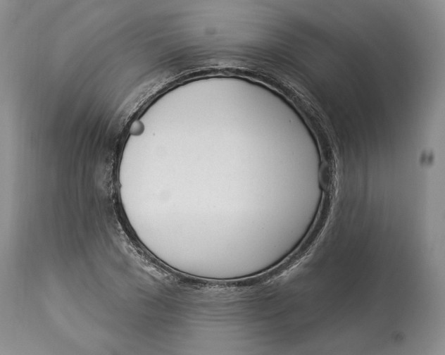X0000114000977200910231748