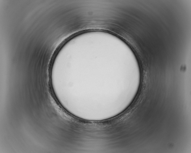 X0000114000980200910231748