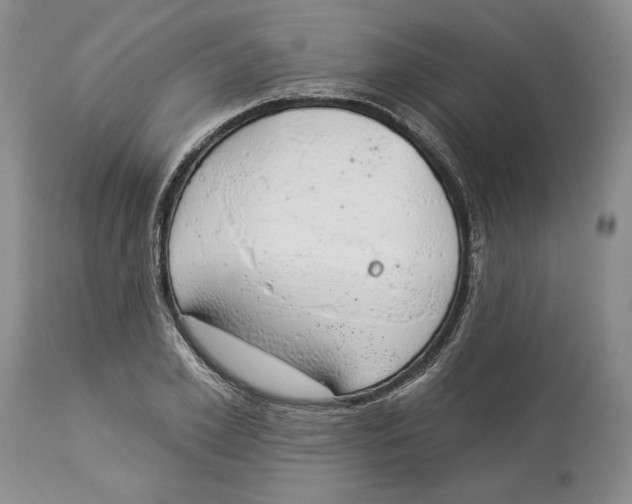 X0000114000981200910231748