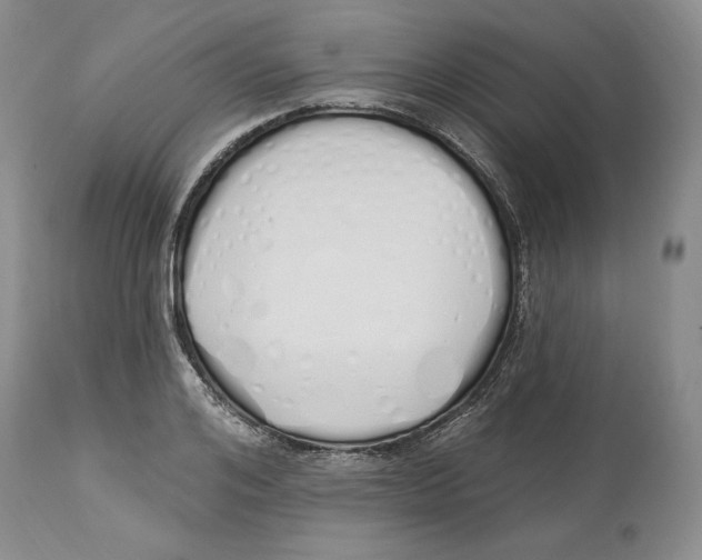X0000114000984200910231748