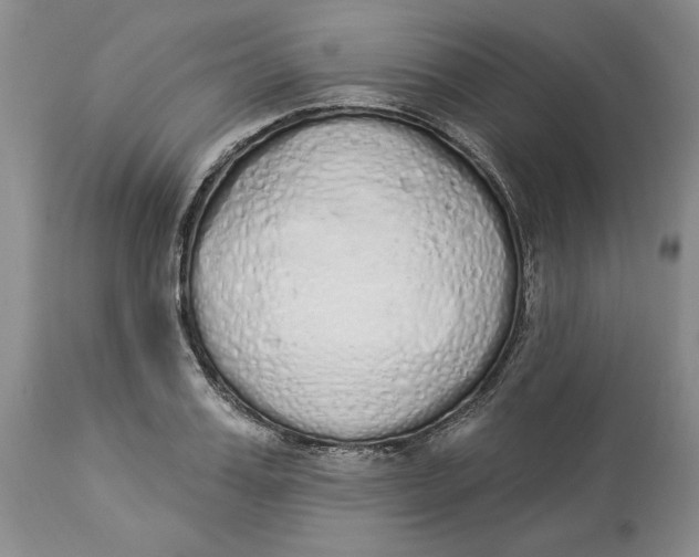X0000114000987200910231748