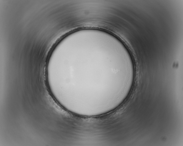 X0000114000992200910231748