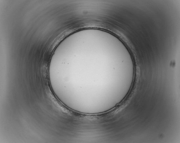 X0000114000993200910231748