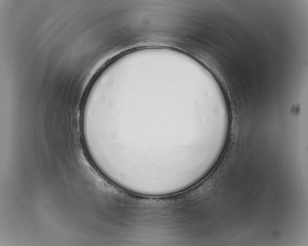 X0000114000996200910231748