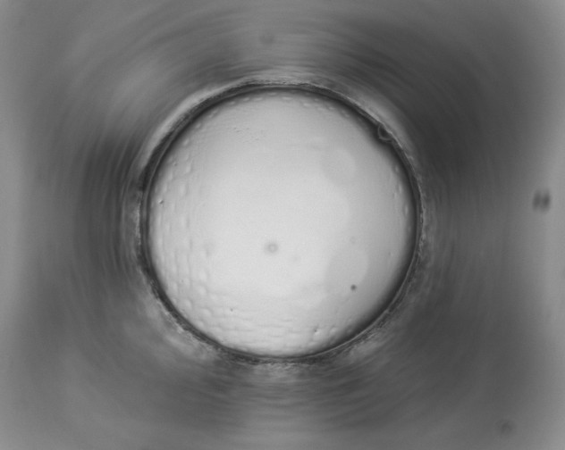 X0000114001000200910231748