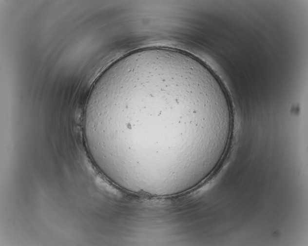 X0000114001001200910231748