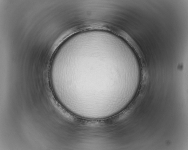 X0000114001002200910231748