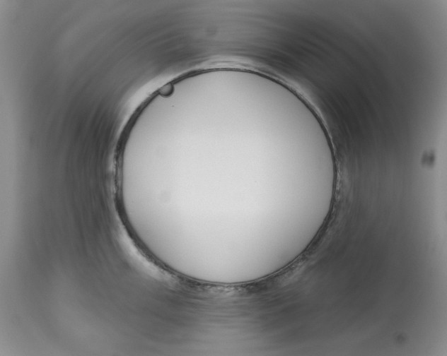 X0000114001003200910231748