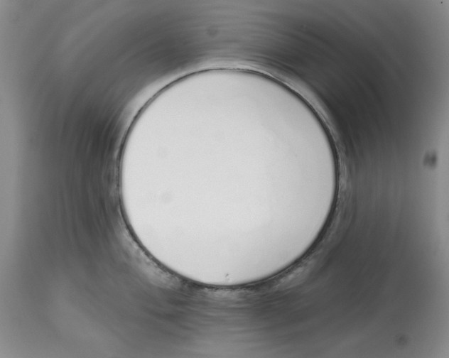 X0000114001004200910231748