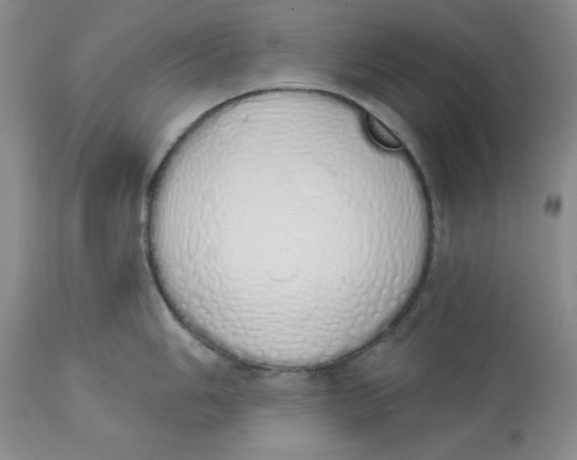 X0000114001006200910231748