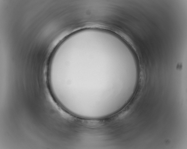 X0000114001007200910231748