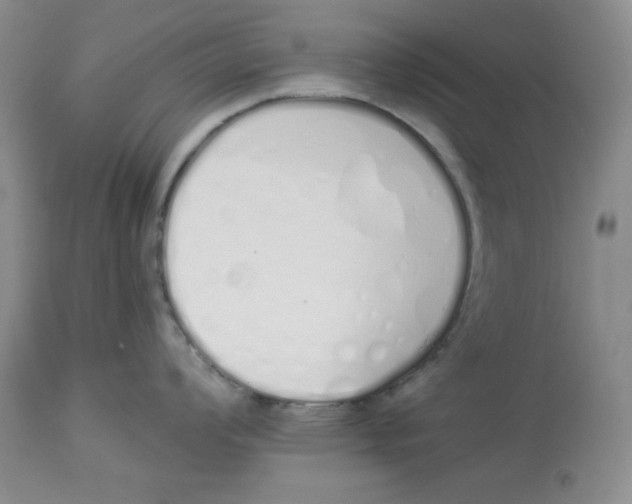 X0000114001008200910231748