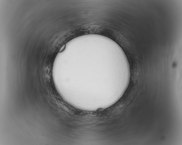 X0000114001010200910231747