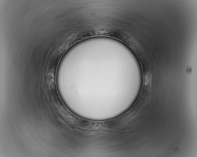 X0000114001011200910231747