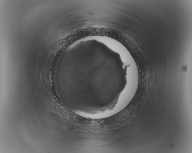 X0000114001013200910231747